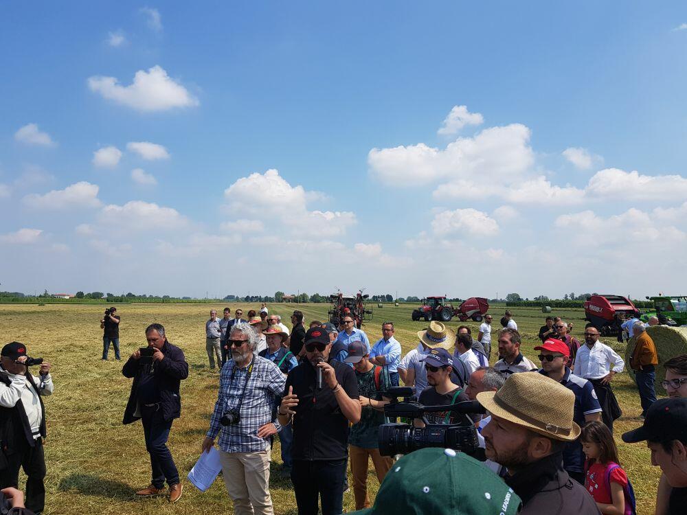 PUBBLICO E SPIEGAZIONE 2