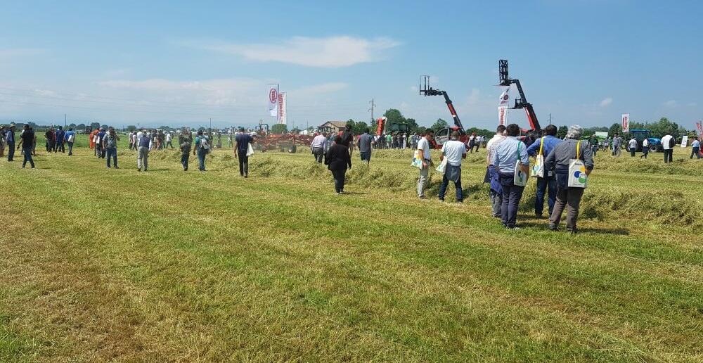 PUBBLICO E SPIEGAZIONE 3